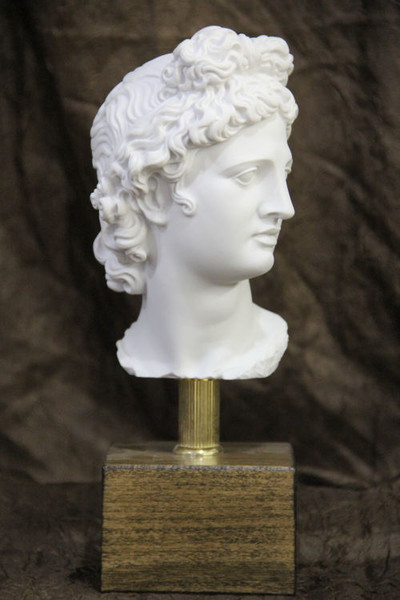 Head of Apollo Belvedere on Base Bust Statue Classical Artwork